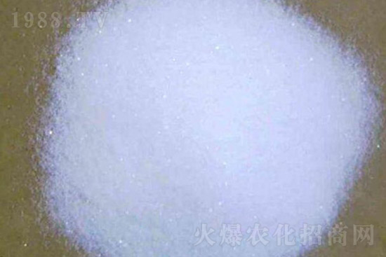 ⛷ʴ�q��⛷ʃr�������Ո�10��28�գ�