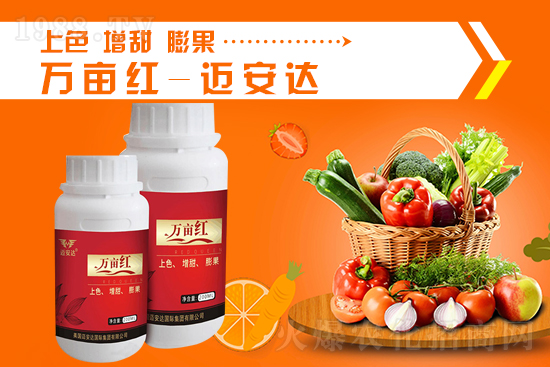 2021��10��8�Շ���(n��i)⛷ʃr������