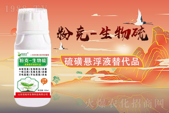 ɽ�|�����S�m(x��)�s1988.TV�����\�����°l(f��)չ