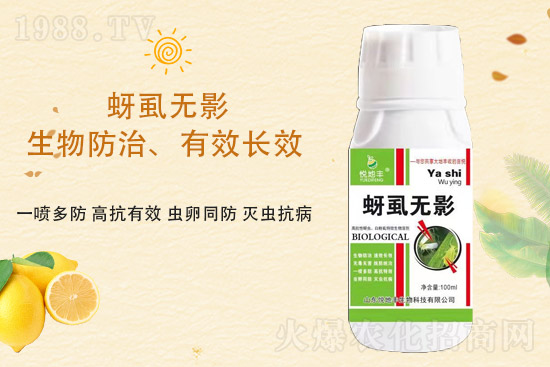 ɽ�|�����S�m(x��)�s1988.TV�����\�����°l(f��)չ