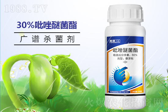 �¹چ̵��ٺ�1988.TV���T�����x����