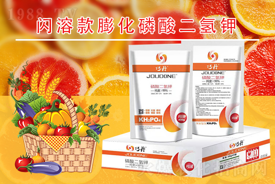 �����P(gu��n)ϵ�����A��ɽ�|�f��ȵ��m(x��)�s1988.TV��