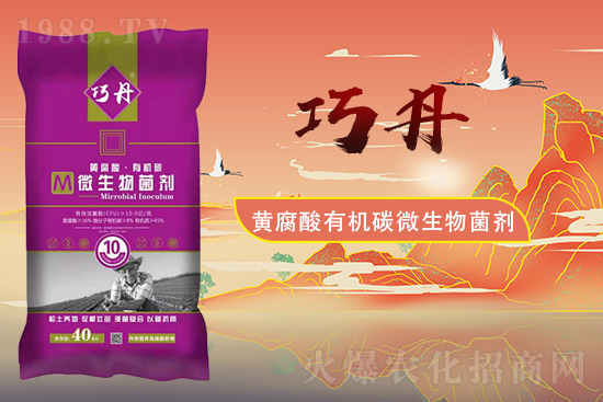 �����P(gu��n)ϵ�����A��ɽ�|�f��ȵ��m(x��)�s1988.TV��