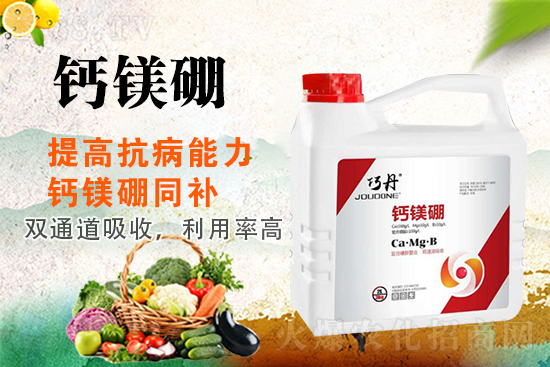 �����P(gu��n)ϵ�����A��ɽ�|�f��ȵ��m(x��)�s1988.TV��