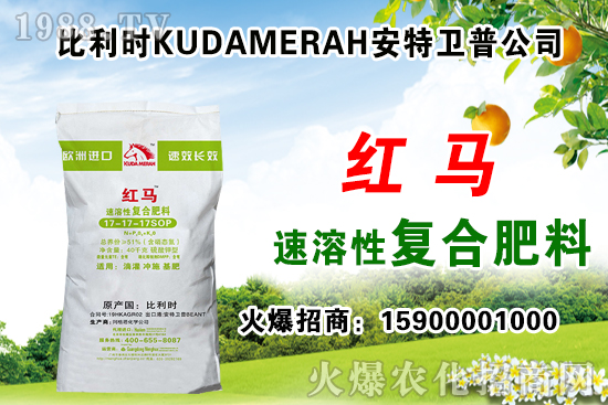 ��(f��)�Ϸʳ��S��(b��o)�r(ji��)��11��12�Տ�(f��)�Ϸʃr(ji��)������