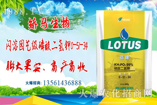 ⛷ʃr���ů��11��15��⛷ʃr������