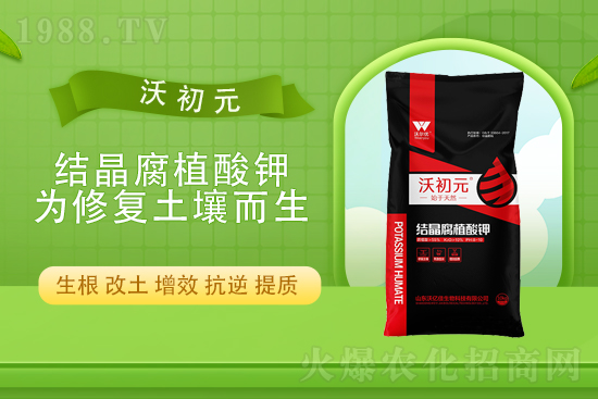 2021��11��2�Շ�(gu��)��(n��i)⛷ʃr(ji��)�������Ӎ