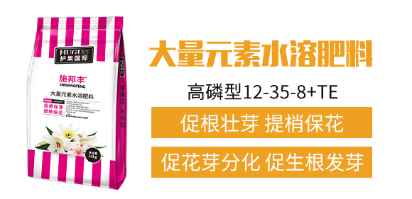 �o(h��)����(gu��)�H3_02