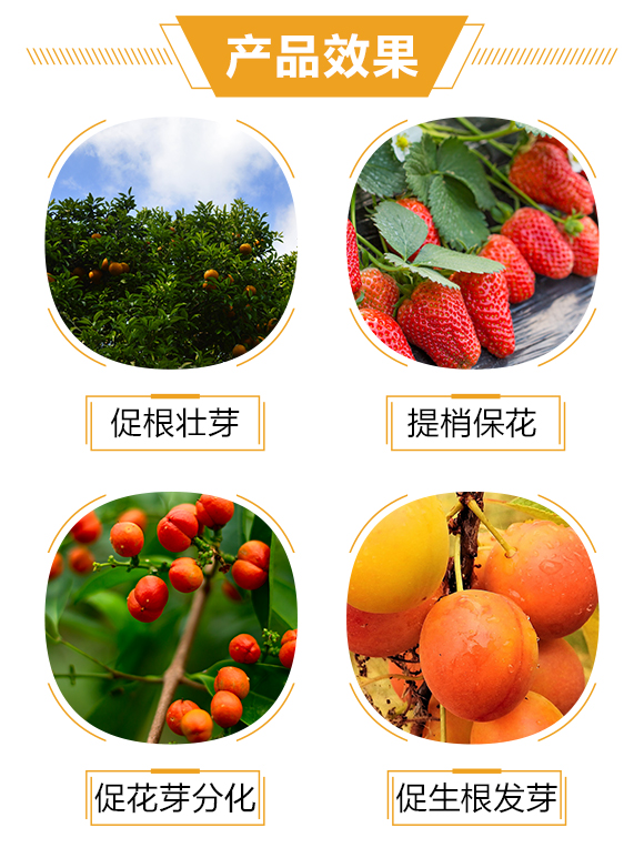 �o(h��)����(gu��)�H3_03