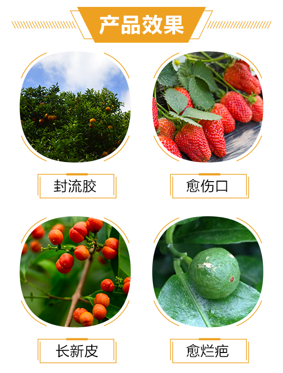 ����һ��(hu��)�r(n��ng)�I(y��)�Ƽ����޹�˾_03