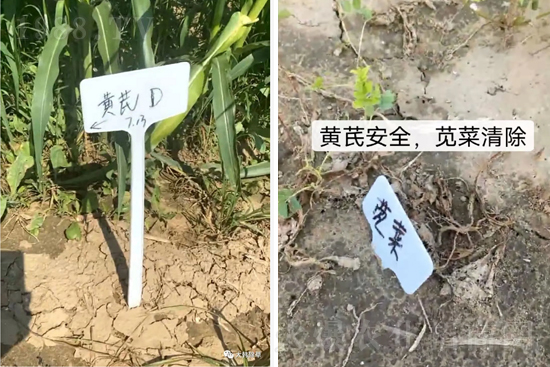 �α�2̖¡��������������죬�ɳ��{�˵��S�γ��݄������ݸ��V����ȫ����