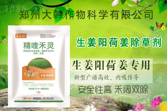 ��ꖺɽ���ô���������ش�ʲô���݄�����ꖺɽ����ݷ�����ע�����(xi��ng)