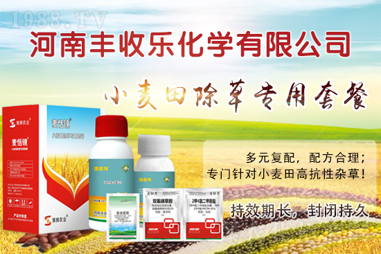 С�������ӳ��ݸ���ԓ��ô�x�ó��݄���