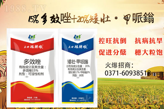 С����ǰ���L�a(ch��n)���pʧ����С���������x���������ֶա���