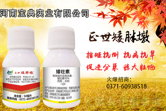 С���������ݲ��ɓ������I(y��)������Ч��������