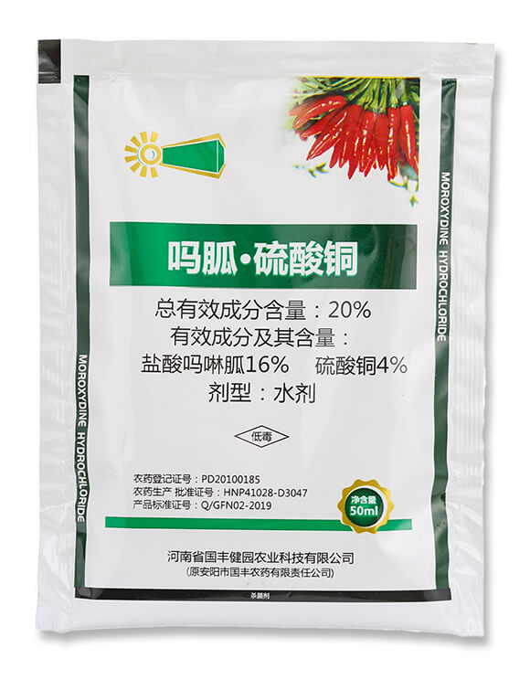 20%���ҡ������~-���ְ���4