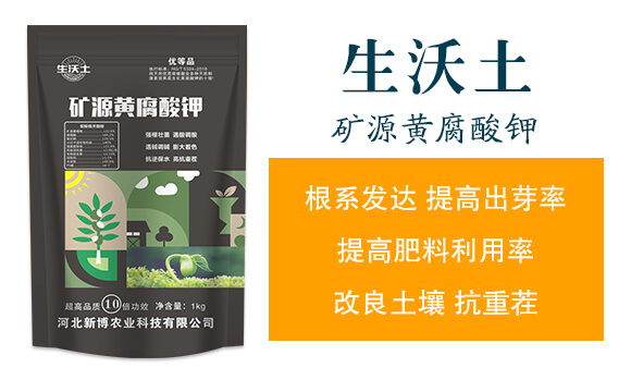 �VԴ�S�����-������-�²��r(n��ng)�I(y��)_02