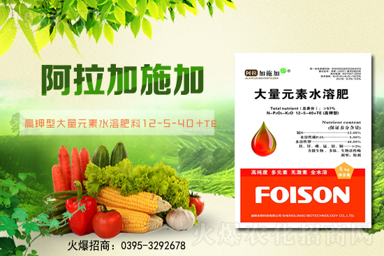 2��6��ȫ��С����r��С���r��ͻ��1.57Ԫ/��