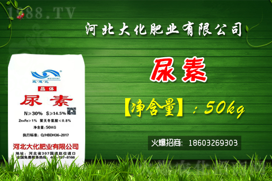 �t��������������Xһ�����Nֲǰ����Σ�