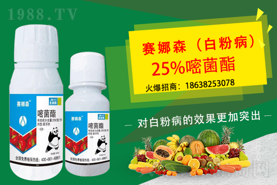 뿾�����?x��)������r(ji��)��2021.3.10