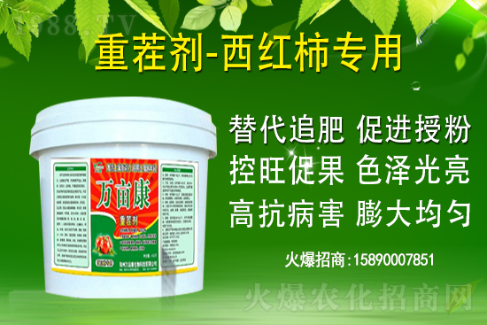 ��ʲô������ҽ��h�������@�}�������h��������