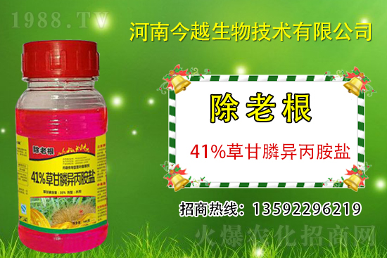 �����������݄��r��2021.3.12