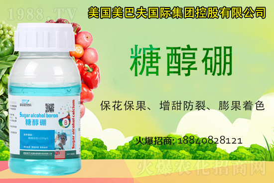 ���յ��ȶ����Xһ����2021�굾�ȃr���Ƿ�߀���q��