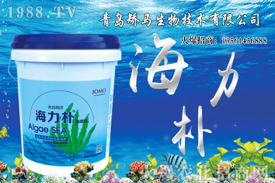 ѩ����r(ji��)������Xһ����2021��Nֲѩ����ٍ�X����