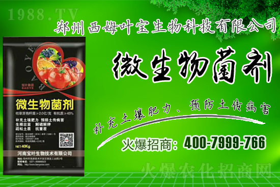 �����m��¶��������߲�Ʒ�N����Щ������Щ�Nֲע�����(xi��ng)��