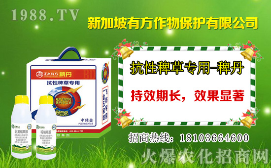 2021��3��19�՟���ݬȥ����݄��r���߄�