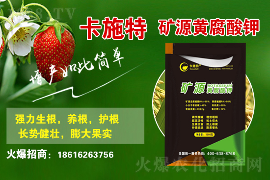 ���ջ����r������Xһ����2021��3��19�ջ����r������