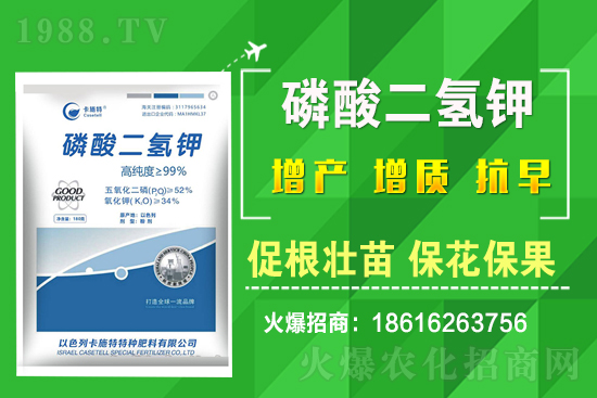 ���˷Nֲ��Ҫע����Щ���}�����˷Nֲԓ��ôʩ����