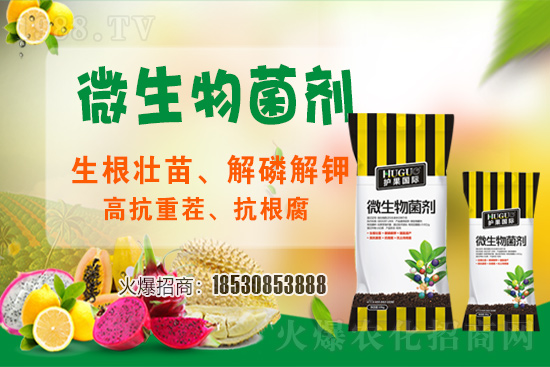 ��ݮ�����F(xi��n)���l���l(f��)������ҪԴ��ʲô������