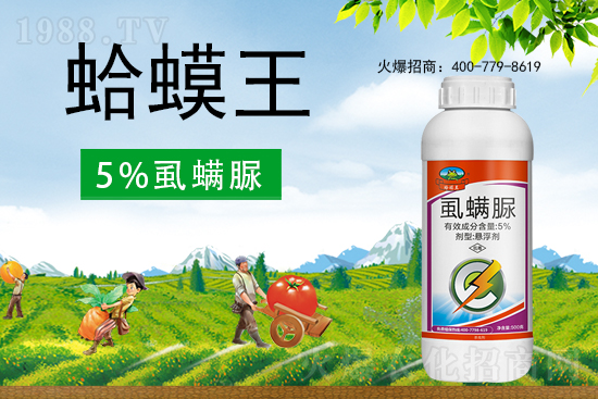 ʭ����������ô�������x���c(di��n)��ʲô��