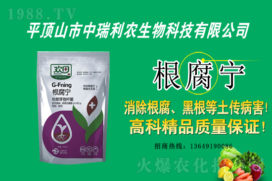 ��ƺ�������r������2021��3��31��