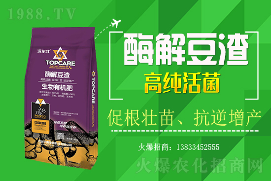 紫蘇種植怎樣管理?紫蘇田間除草及施肥技術(shù)!