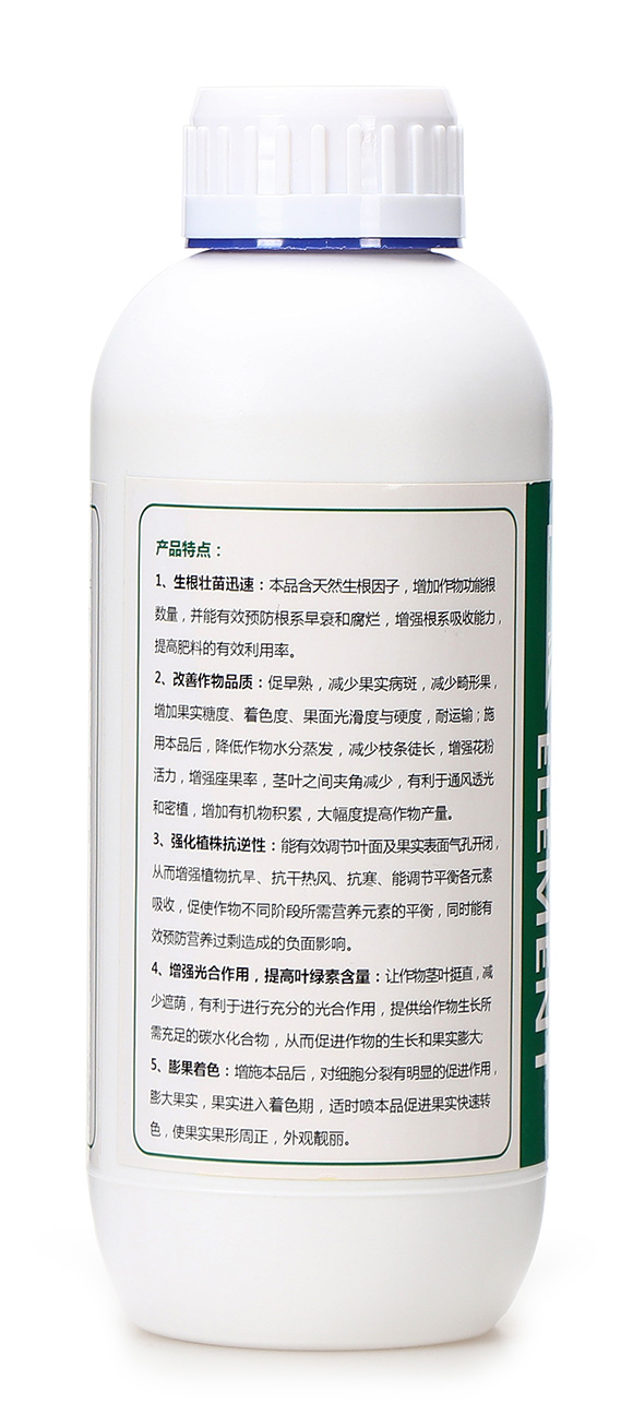 ʮ��Ԫ��-ϲ���S-�W��ɭ6