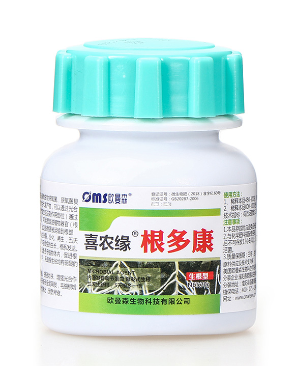 ���࿵-ϲ�r��-�W��ɭ5