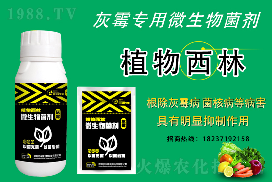 2021��4��13�՚������r(ji��)���߄�