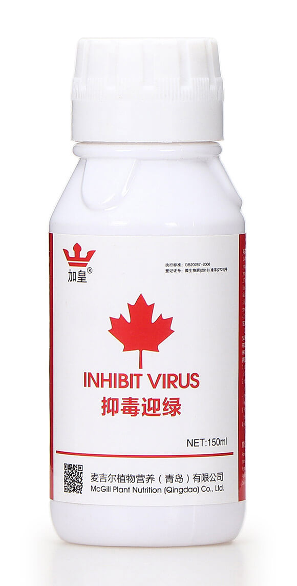 �ֶ�ӭ�G�����β������� �G��5