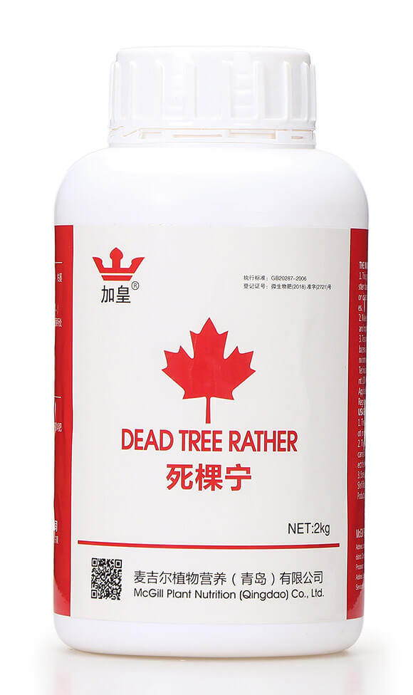 ���Ì����������ã� �G��5