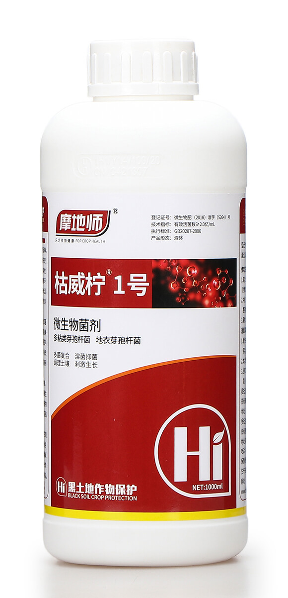 ΢�������-������1̖-Ħ�؎�5