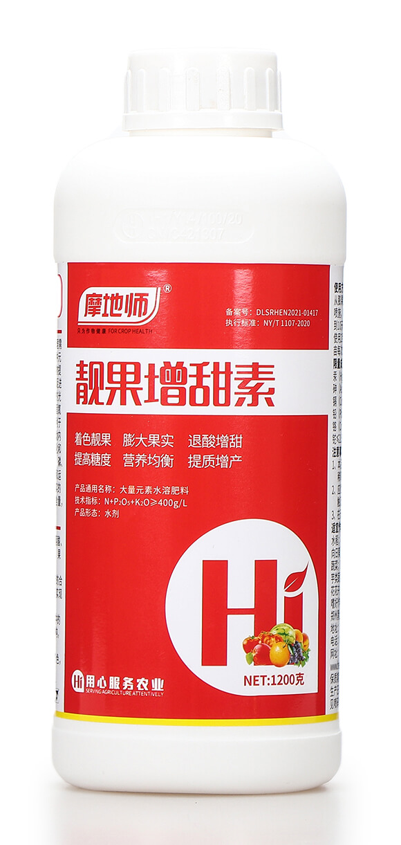 �n�������� Ħ�؎�5