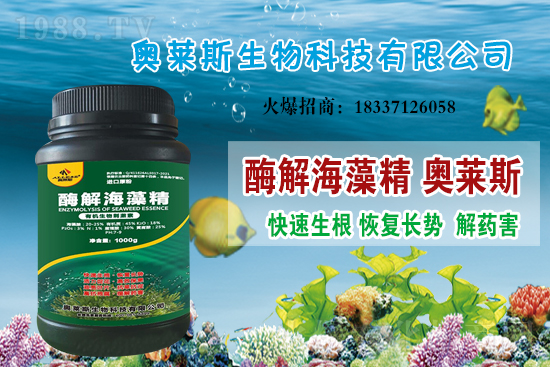 �󶹃r(ji��)��߀��(hu��)�ϝq�᣿���մ󶹃r(ji��)������