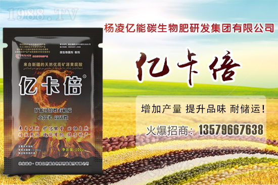 ���}�ۮa(ch��n)�����҇���Щʡ�������}������Щ��ҊƷ�N��