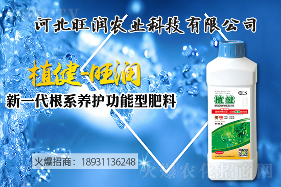 �{(l��n)ݮ������ô�Nֲ���{(l��n)ݮ����ķNֲ���޼����ݼ��g(sh��)��