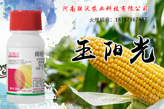 ���׳��ݞ�ʲô�x����������������݄���δ�