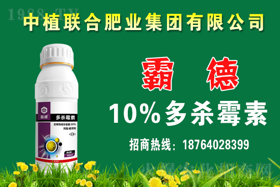 С�����{��