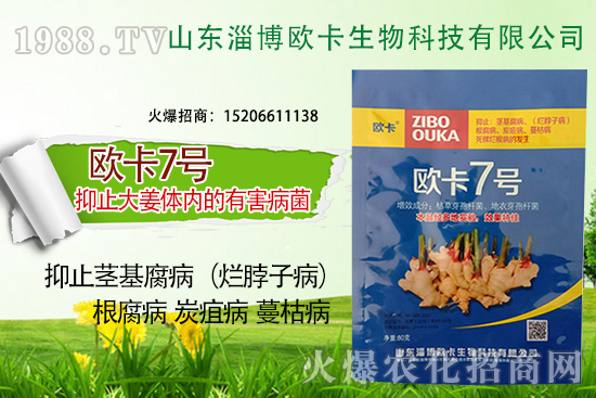 �W�������ٺ�1988.TV�����󌍬F(xi��n)��I(y��)�v�w����