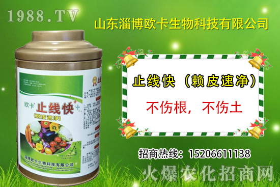 �W�������ٺ�1988.TV�����󌍬F(xi��n)��I(y��)�v�w����